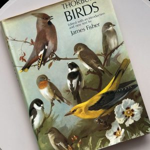 Vintage Book Thorburns Birds James Fisher First Edition 1967 Hardback Book