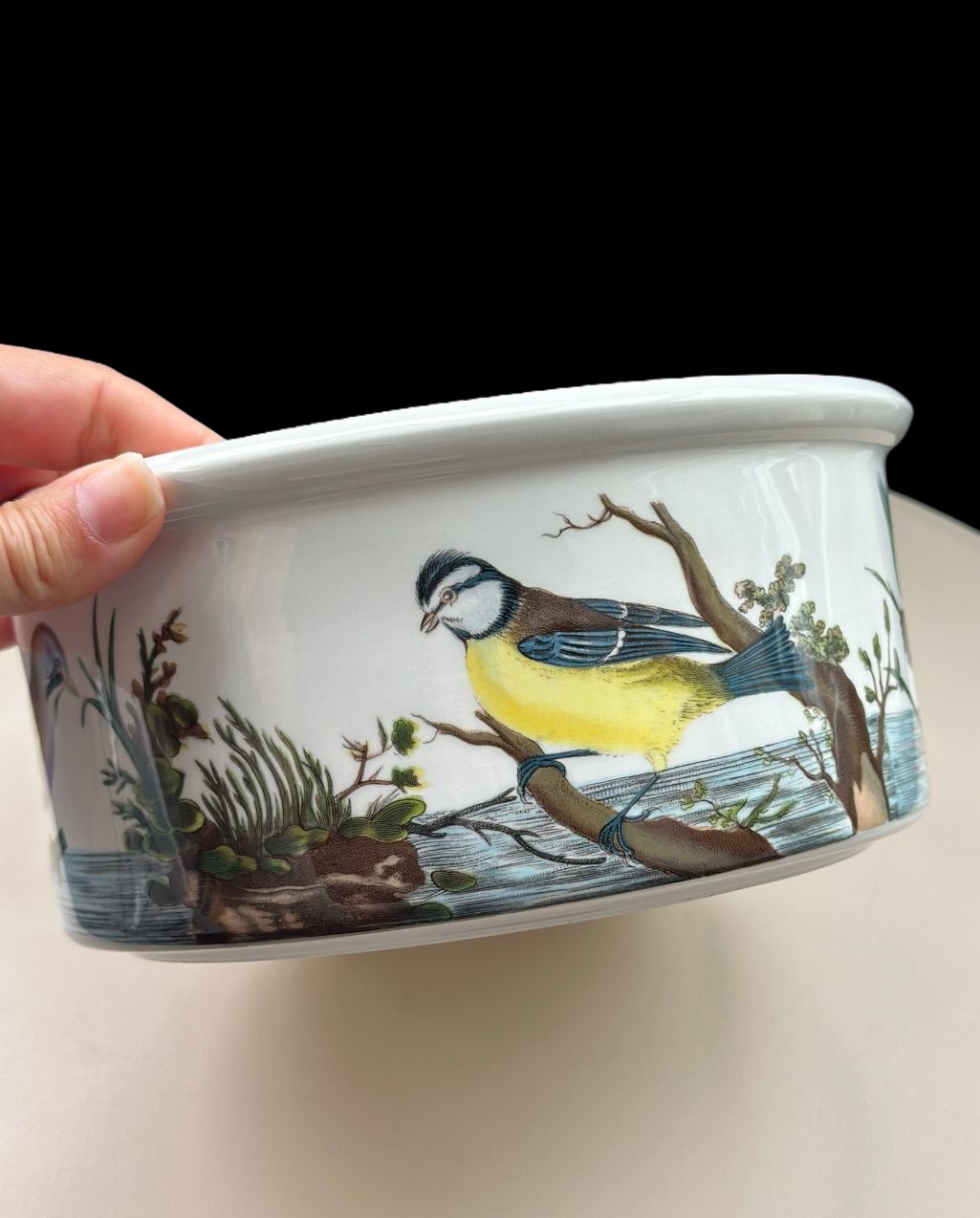 Portmeirion Birds of Britain by E. Donovan Vegetable Bowl Souffle Dish - Image 7