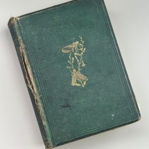 The Insect World by Louis Figuier (19th Century Edition)